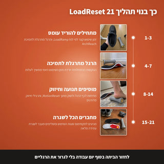 מדרסי ArchReach